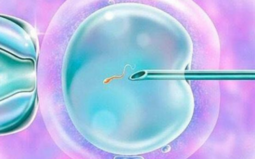 岳阳能做试管婴儿吗,岳阳可以做试管婴儿吗