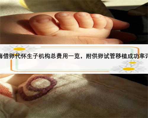 上海借卵代怀生子机构总费用一览，附供卵试管移植成功率详解