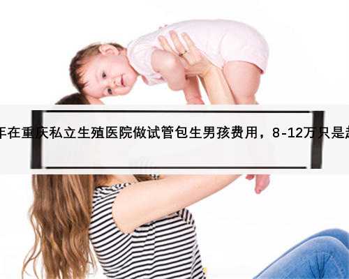 2023年在重庆私立生殖医院做试管包生男孩费用，8-12万只是起步价